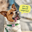 Woof Poomergency, Waste Bag Holder