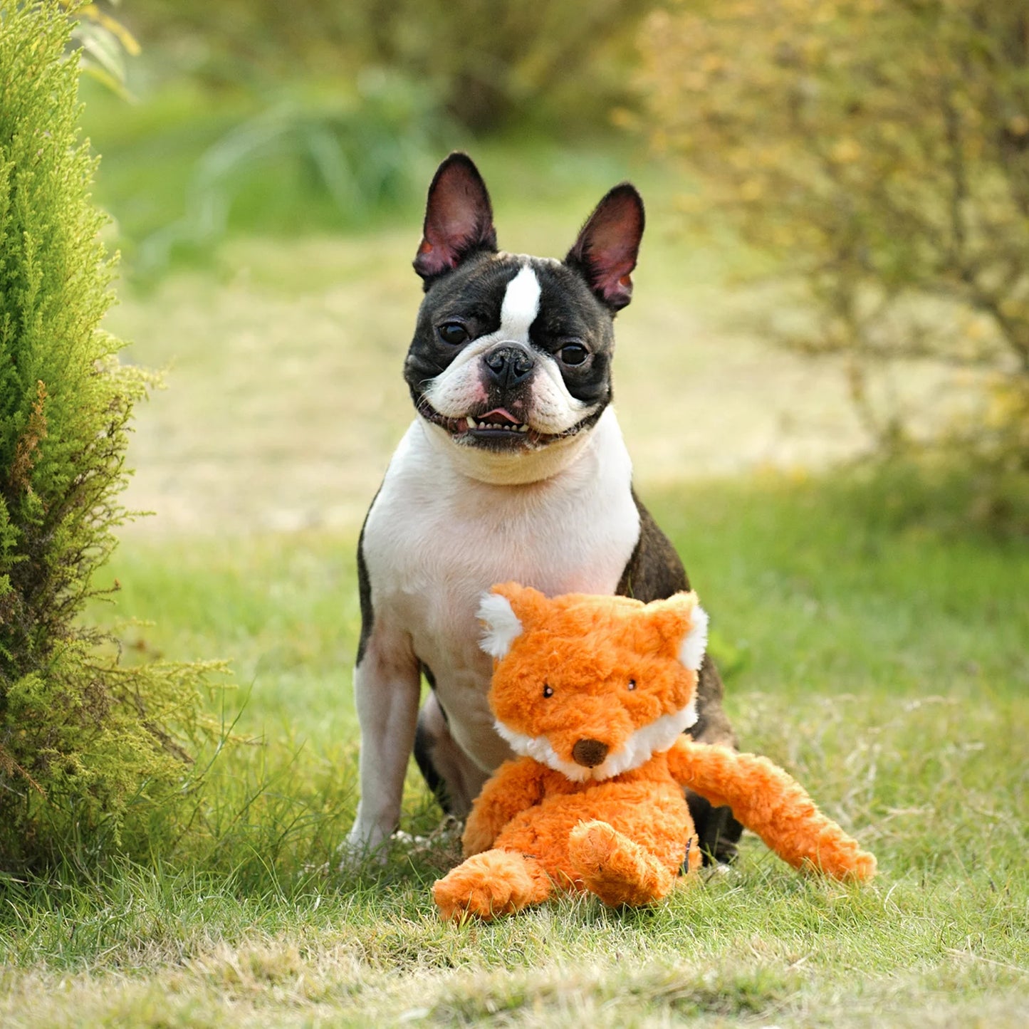 Chewffon Stuffless Fox, Dog Toy