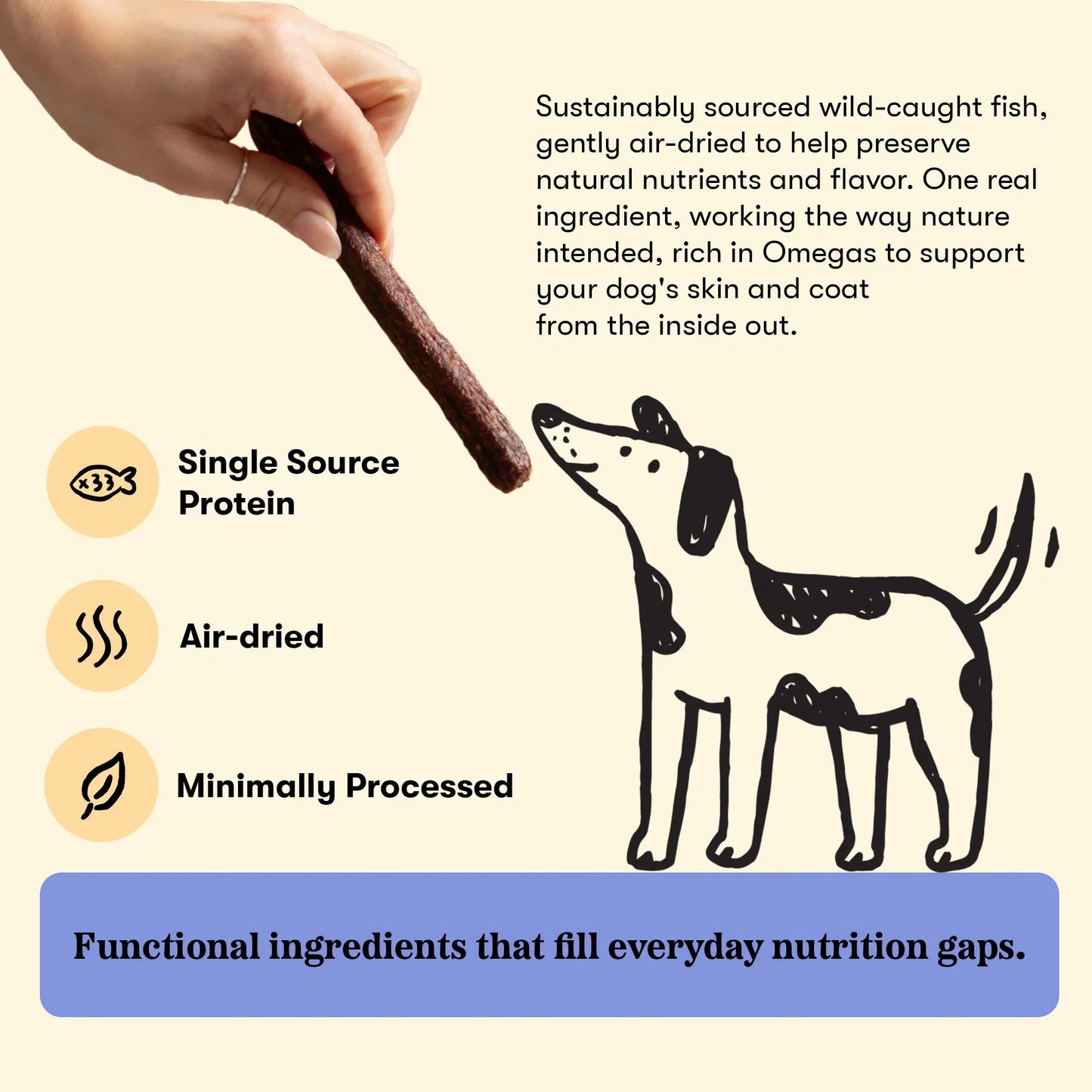 Plato Thinkers Meat Stick Dog Treats, Salmon Recipe
