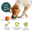 Woof Forager Flyball 3-Pack, Dog Toy