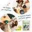 Woof Forager Walkabout, Dog Toy