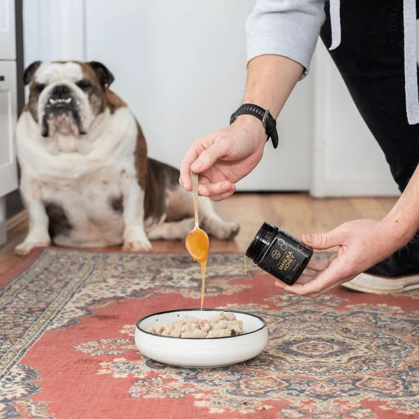 The New Zealand Natural Pet Food Co Manuka Honey, Dog Supplement, 8.8-oz Jar