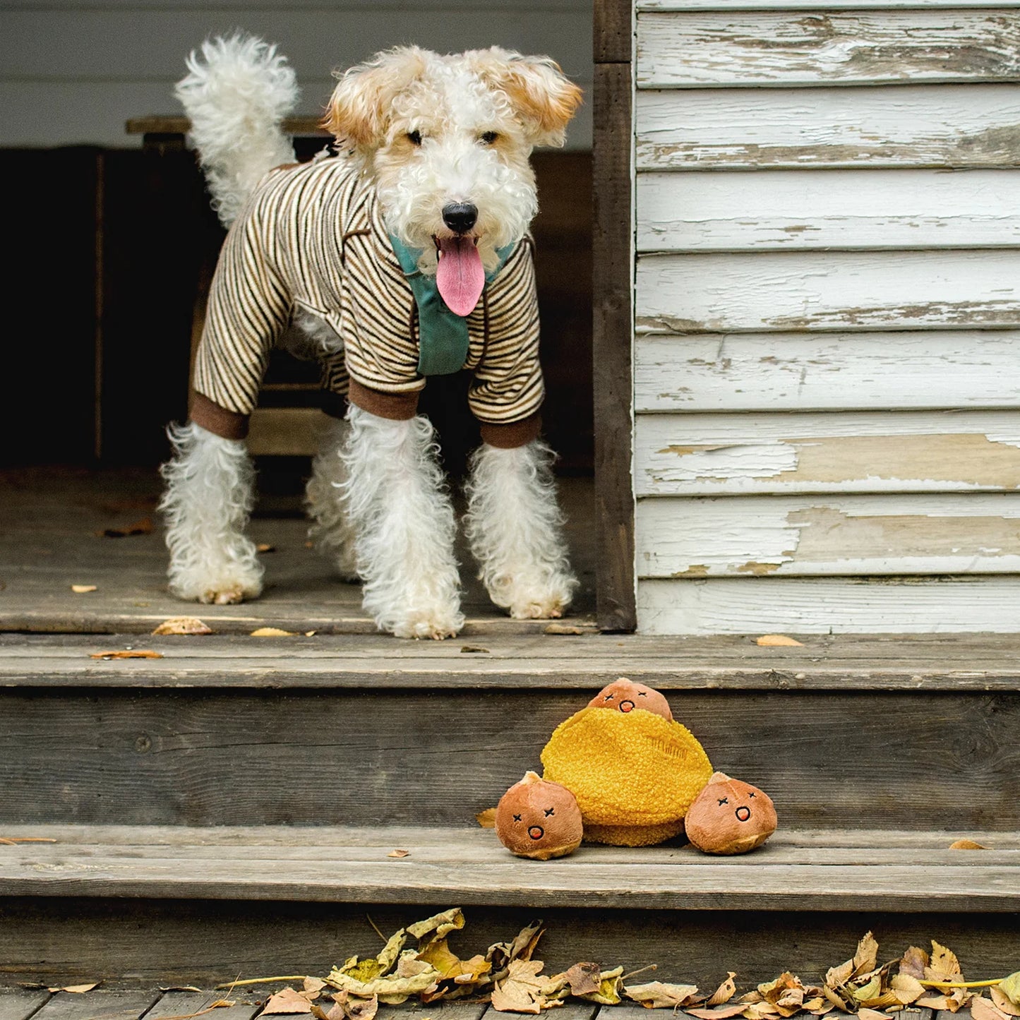 Chewffon Chestnut Squeaky, Dog Toy