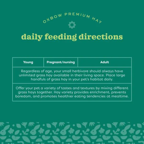 Oxbow Animal Health Foraging Blend Western Timothy & Teff Hay, Small Animal Treats, 40-oz Bag