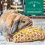Oxbow Enriched Life Timothy Flowers, Small Animal Chew