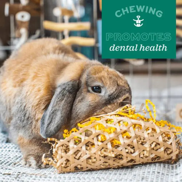 Oxbow Enriched Life Timothy Flowers, Small Animal Chew