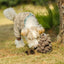 Chewffon Pinecone, Dog Toy