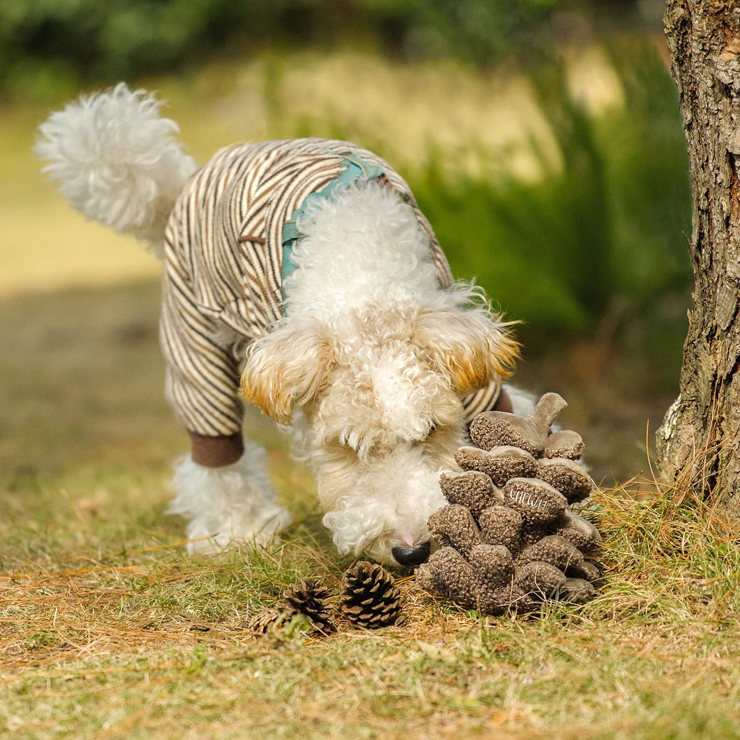 Chewffon Pinecone, Dog Toy