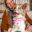 Dog Bandana Co. Mom's Best Friend Dog Bandana Tie & Snap
