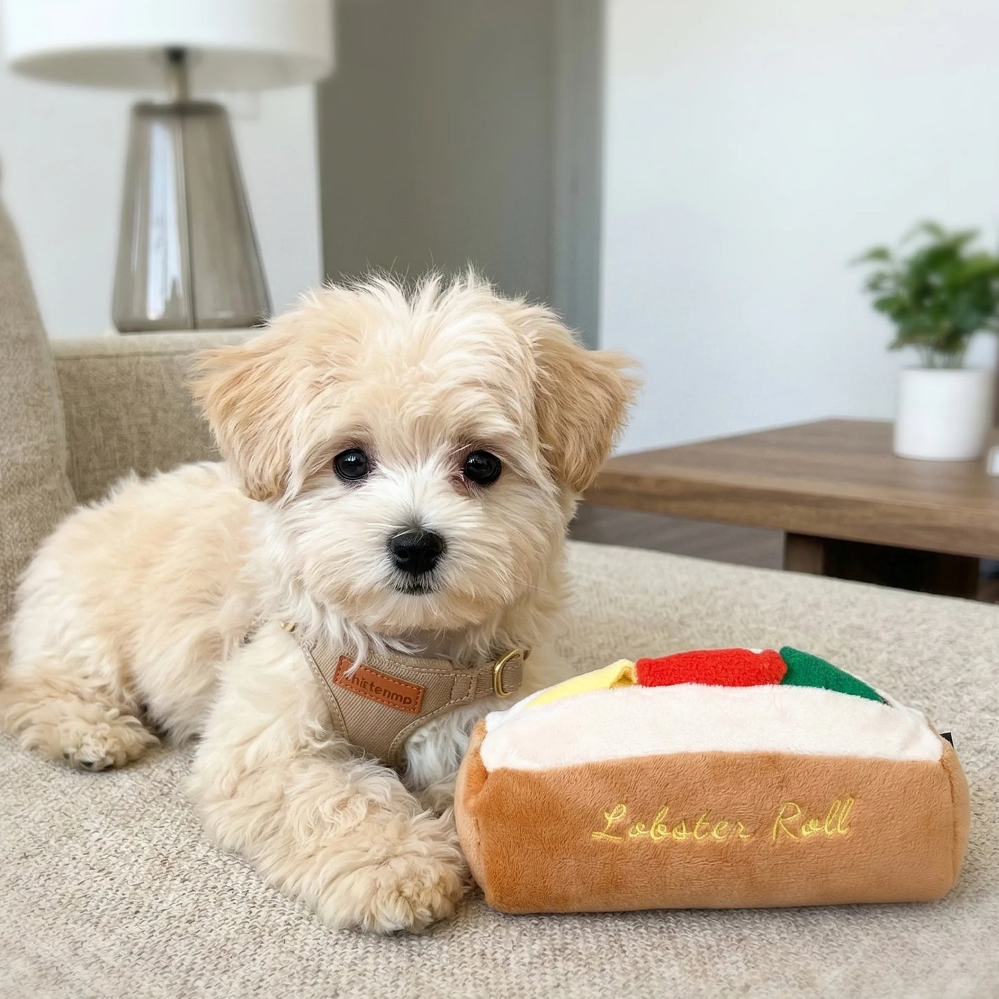 Chewffon Lobster Roll Snuffle, Dog Toy