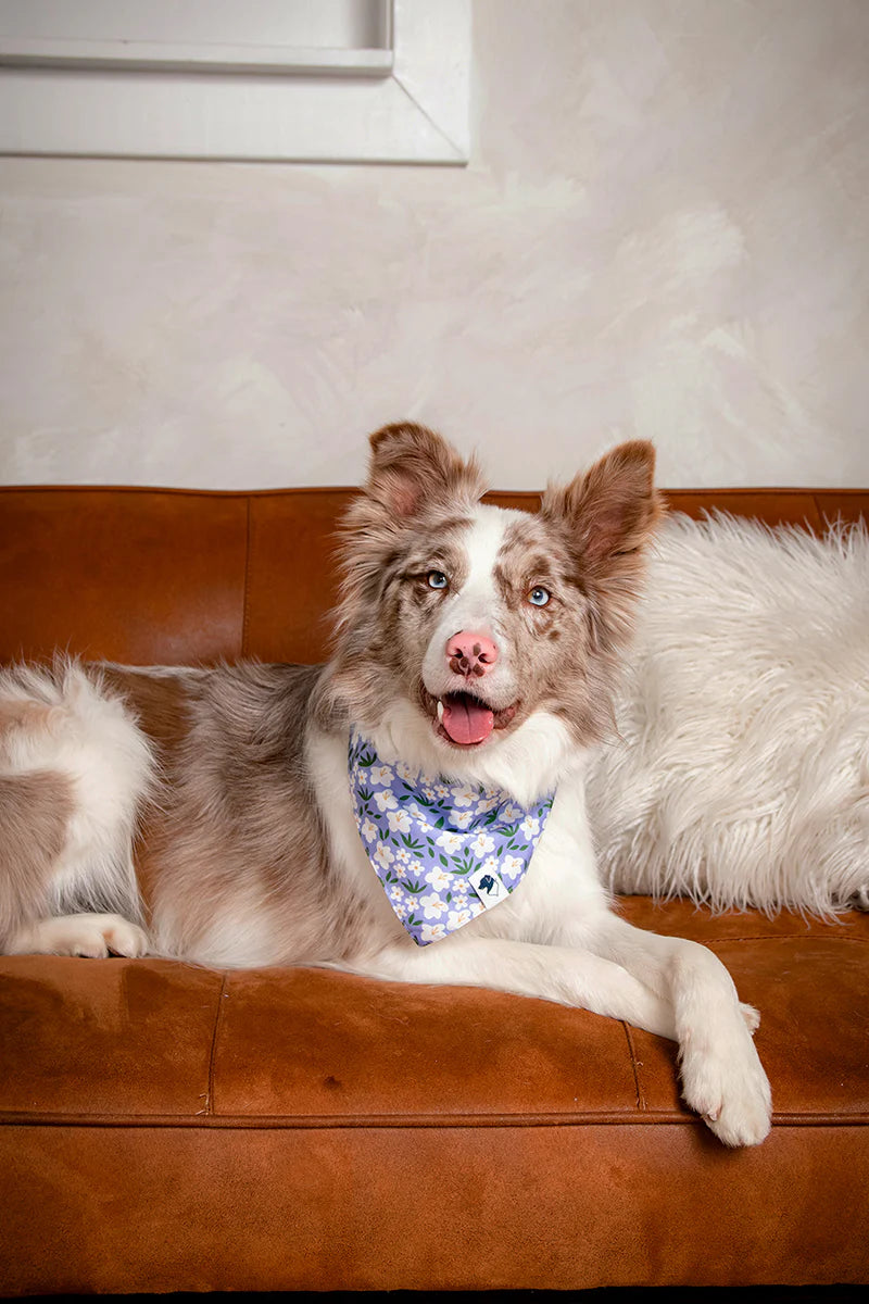 Dog Bandana Co. Lavender Dog Bandana Tie & Snap