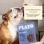 Plato Thinkers Meat Stick Dog Treats, Lamb Recipe