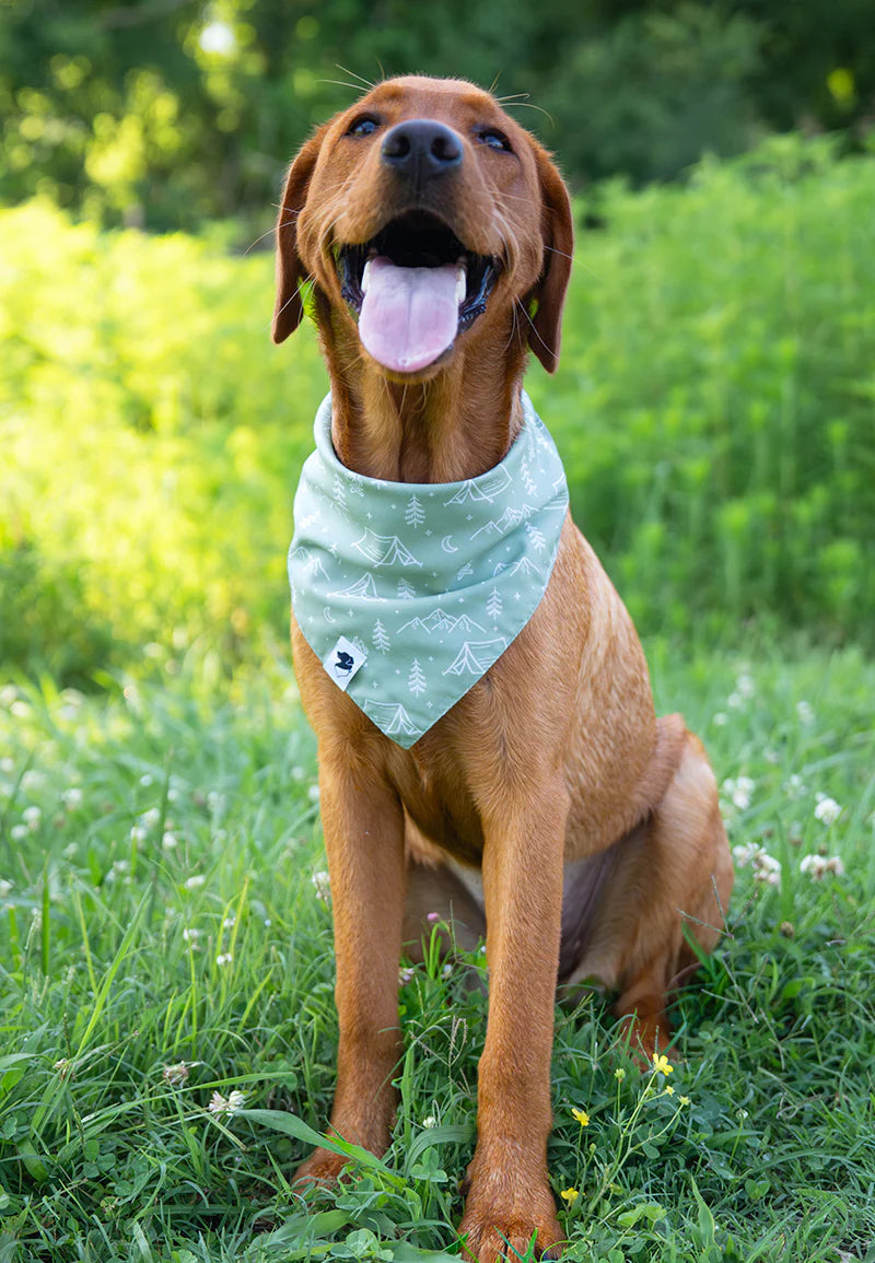 Dog Bandana Co. Camping & Smores Dog Bandana Tie & Snap