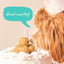 Woof Pupsicle Pops - Birthday Recipe