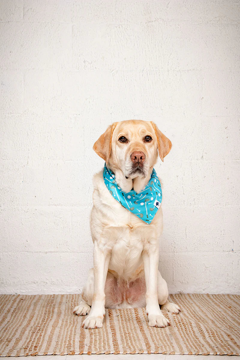 Dog Bandana Co. Tee Time Dog Bandana, Tie & Snap