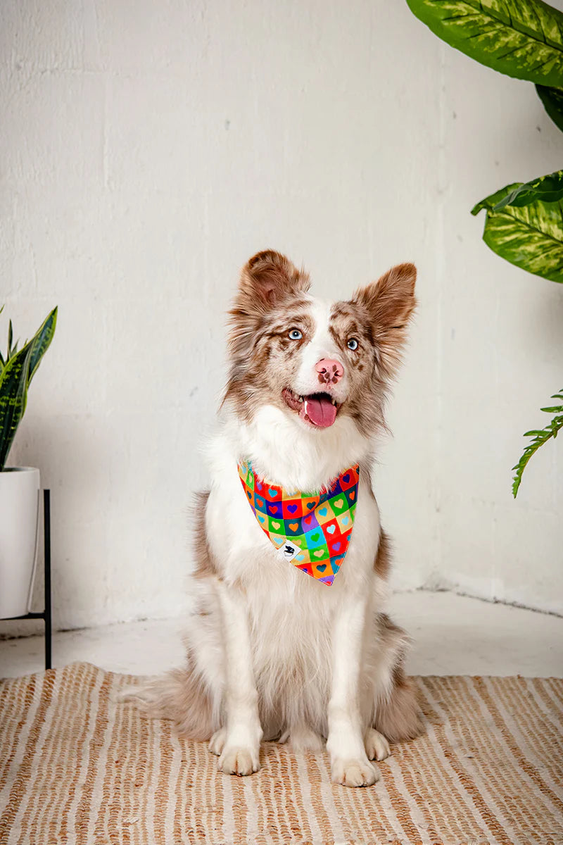 Dog Bandana Co. Love Wins Dog Bandana Tie & Snap