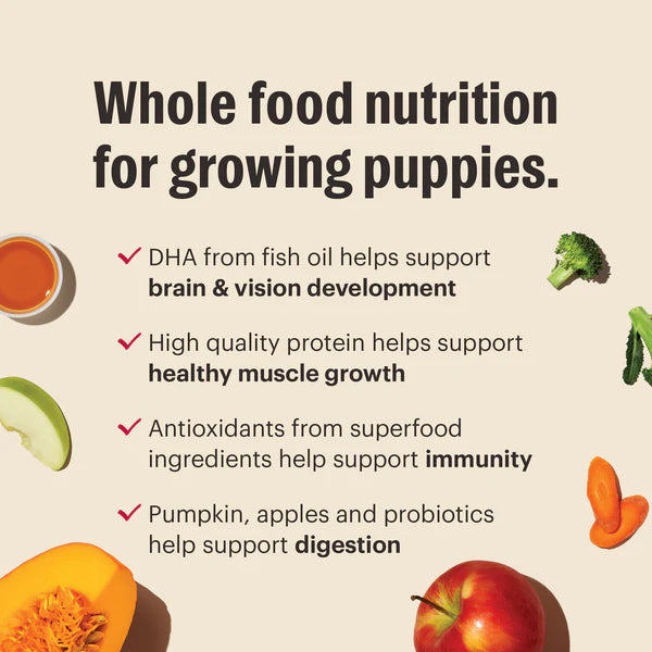 The Honest Kitchen Whole Grain Chicken Whole Food Clusters for Puppies, Dry Dog Food