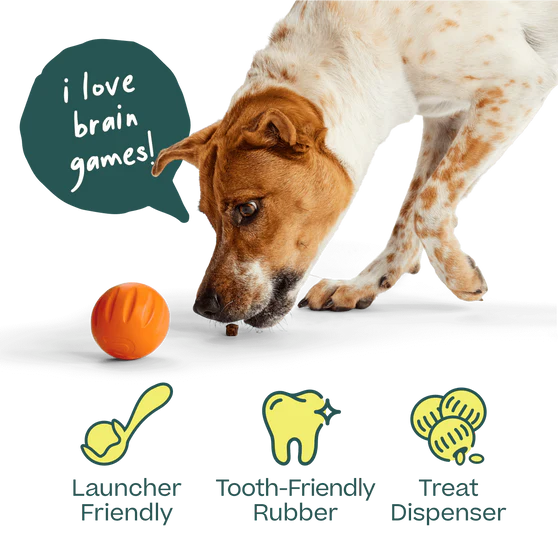 Woof Forager Flyball, Dog Toy
