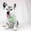 Dog Bandana Co. Daisy Dog Bandana Tie & Snap