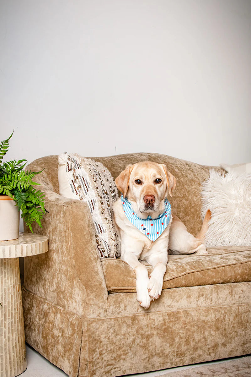 Dog Bandana Co. American Summer Dog Bandana Tie & Snap