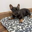 Territory Crate Mat, Dog Bed