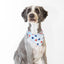 Dog Bandana Co. Patriotic Summer Dog Bandana Tie & Snap