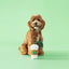 Chewffon Pupcoffee Enrichment, Dog Toy