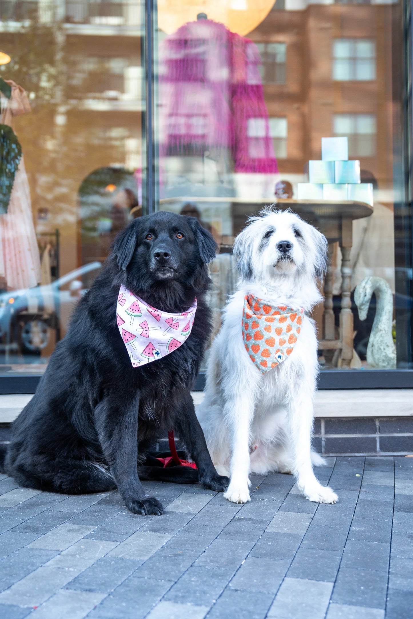 Dog Bandana Co. Watermelon & Strawberry Dog Bandana & Matching Scrunchie Set, Tie & Snap
