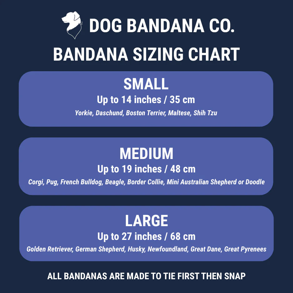 Dog Bandana Co. Summer Beach Dog Bandana, Tie & Snap