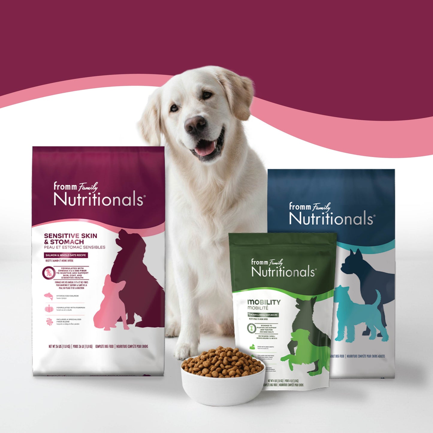 Fromm Nutritionals Sensitive Skin & Stomach Salmon & Whole Oats Recipe, Dry Dog Food
