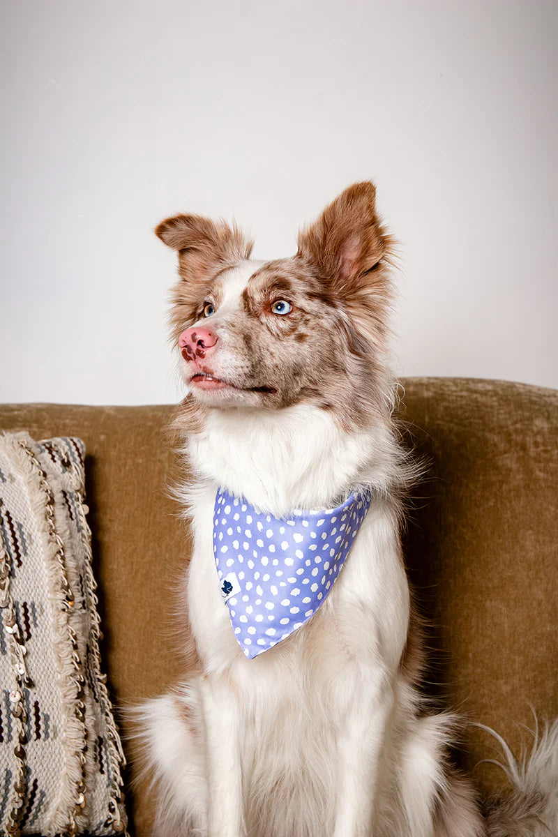 Dog Bandana Co. Lavender Dog Bandana Tie & Snap