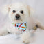 Dog Bandana Co. Pizza & Food Dog Bandana Tie & Snap