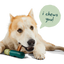 Woof Bullysafe, Interactive Dog Toy