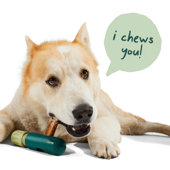 Woof Bullysafe, Interactive Dog Toy