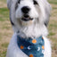 Dog Bandana Co. Blue Moon & Lightning Dog Bandana Tie & Snap