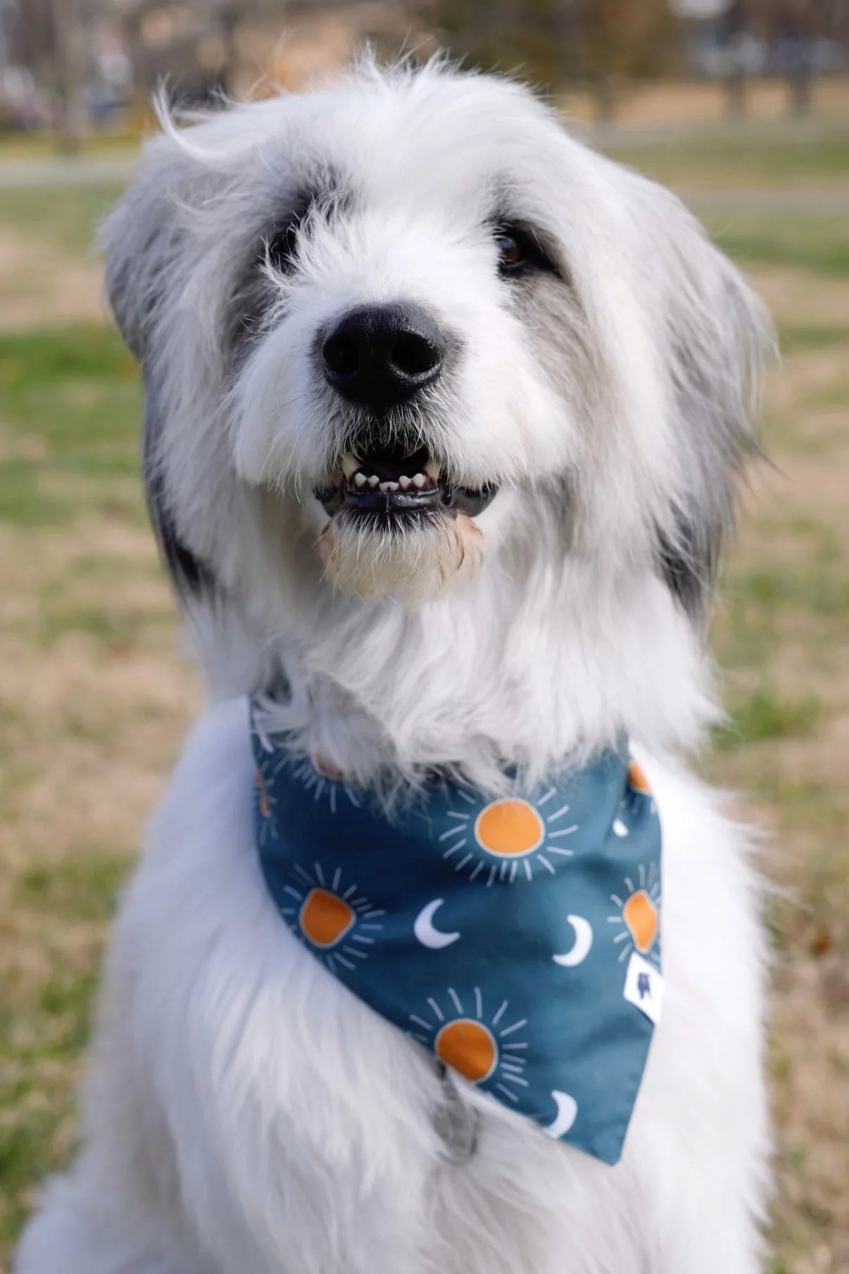 Dog Bandana Co. Blue Moon & Lightning Dog Bandana Tie & Snap