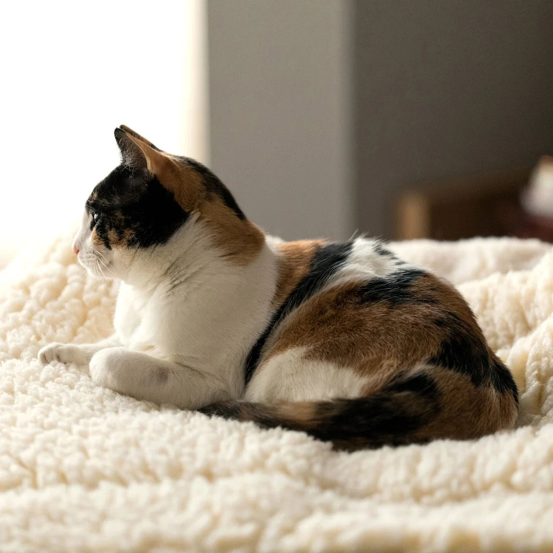 HuggleHounds HuggleFleece Mat Natural, Cat & Dog Bed
