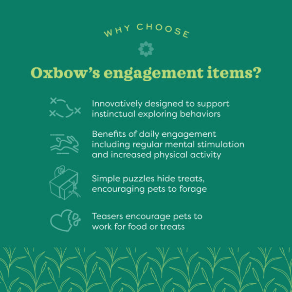 Oxbow Enriched Life Garden Dig Box