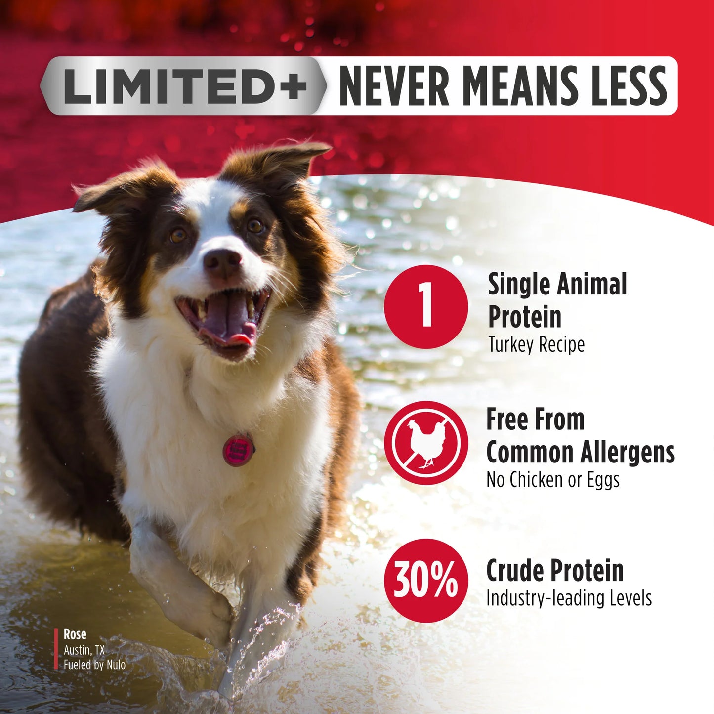 Nulo FreeStyle Limited+ Small Breed Turkey Recipe, Dry Dog Food, 4-lb Bag