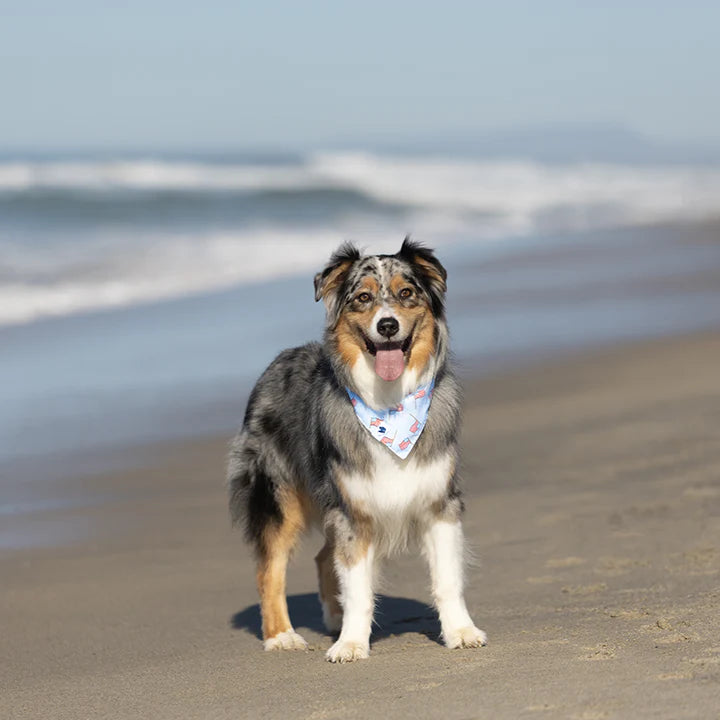 Dog Bandana Co. USA Dog Bandana, Tie & Snap