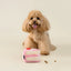 Chewffon Strawberry Cake Interactive Snuffle, Dog Toy
