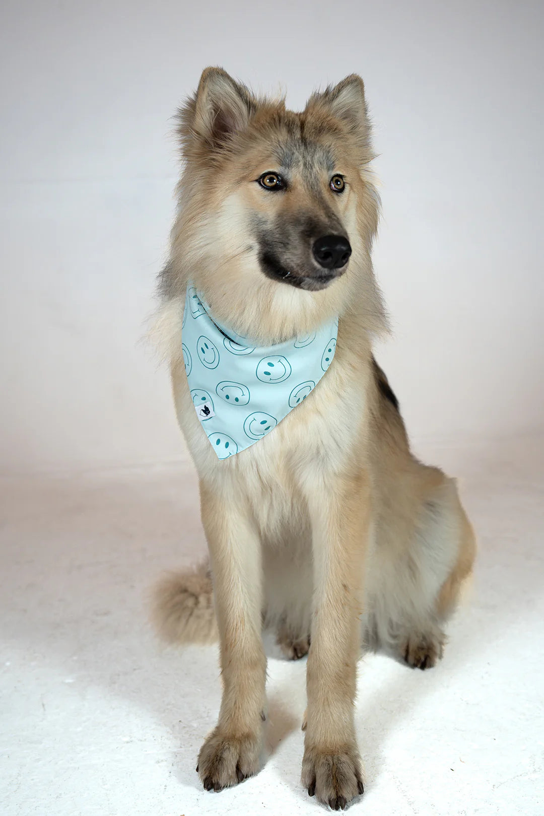 Dog Bandana Co. Smiles Dog Bandana Tie & Snap
