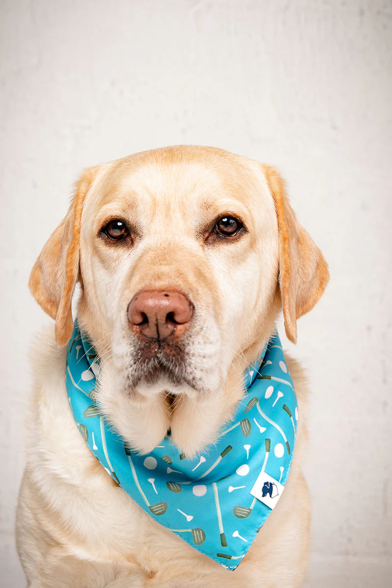 Dog Bandana Co. Tee Time Dog Bandana, Tie & Snap
