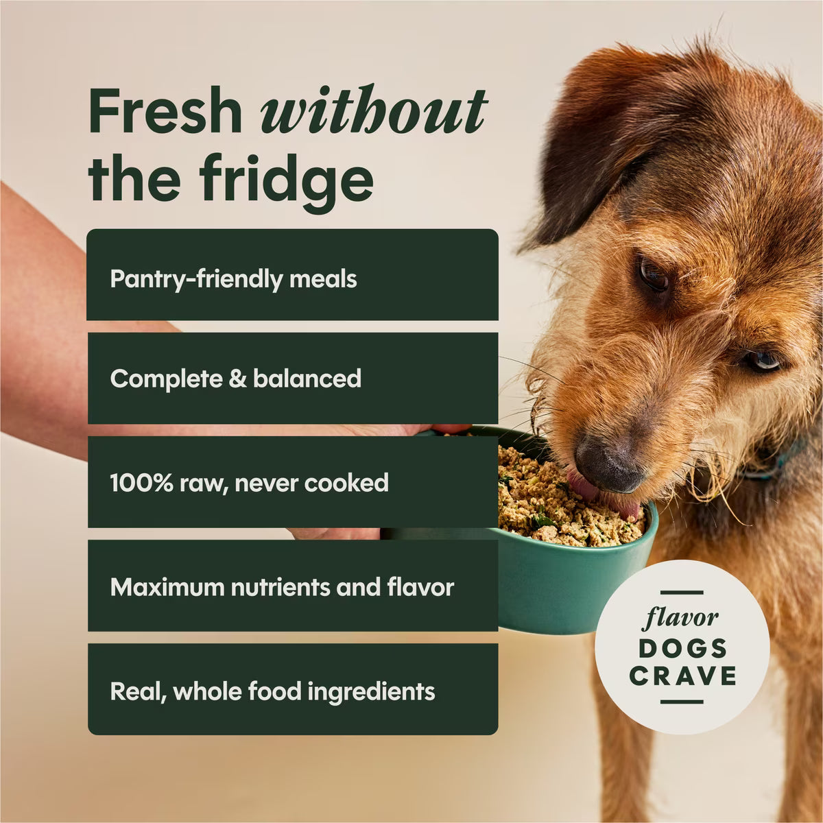 Instinct FreshDried Meal Blends Grain-Free Raw Beef & Wild Berries Blend, Freeze-Dried Dog Food