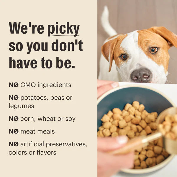 The Honest Kitchen Whole Grain Chicken Whole Food Clusters for Puppies, Dry Dog Food