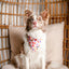 Dog Bandana Co. Mom's Best Friend Dog Bandana Tie & Snap