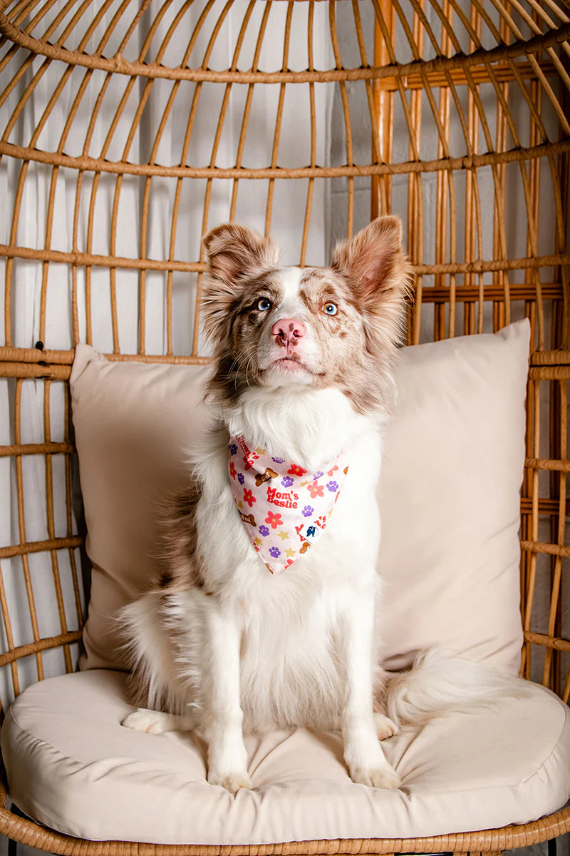 Dog Bandana Co. Mom's Best Friend Dog Bandana Tie & Snap
