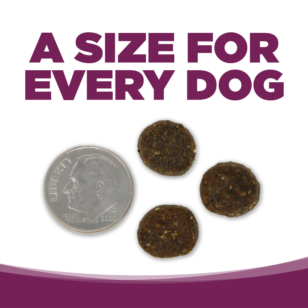 NutriSource® PureVita™ Pork & Blueberry Entree, Dry Dog Food, 4-lb Bag