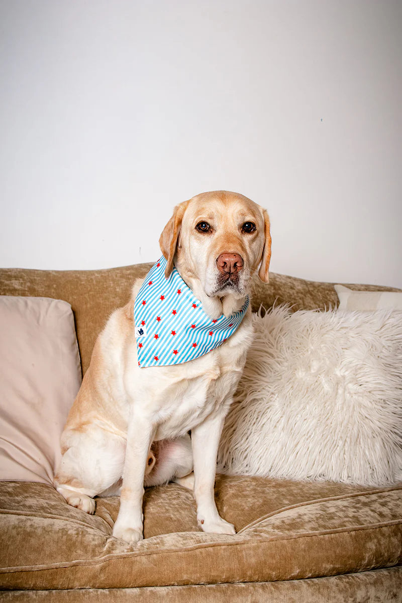 Dog Bandana Co. American Summer Dog Bandana Tie & Snap