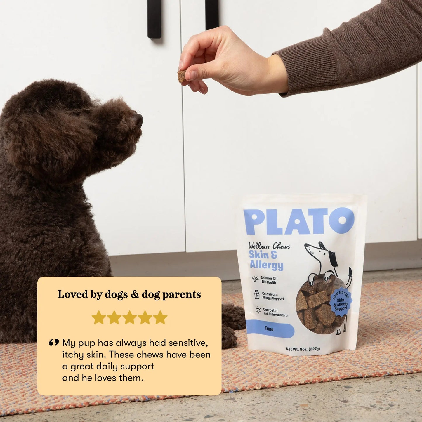 Plato Wellness Chews Skin & Allergy, Dog Treats